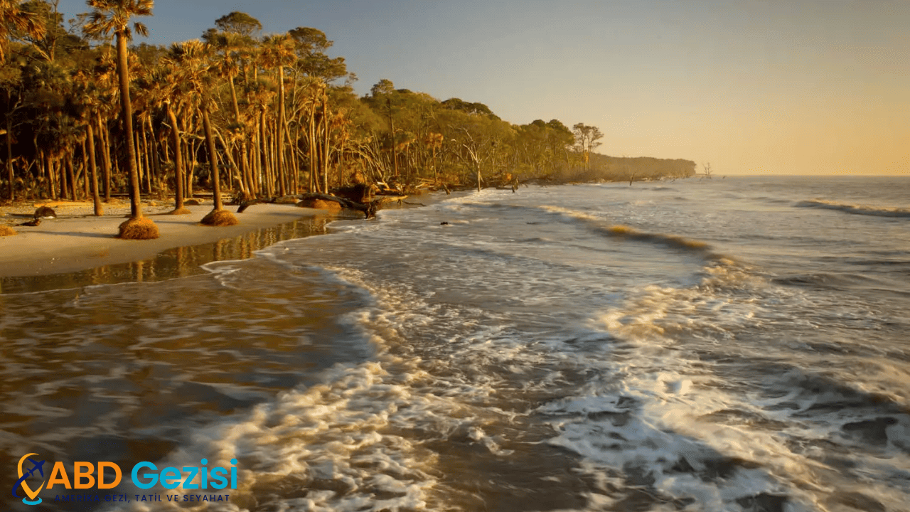 Hunting Island State Park