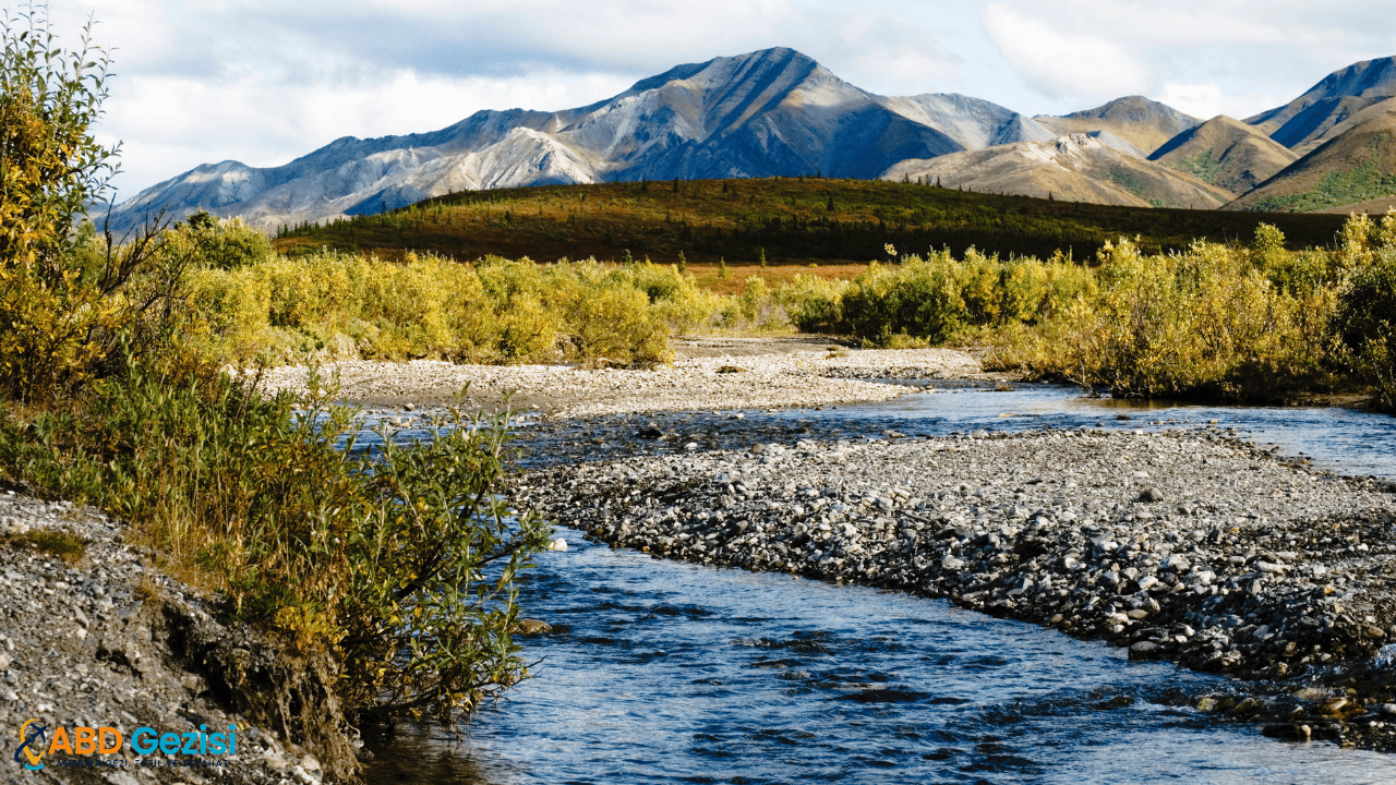 Denali National Park, Alaska