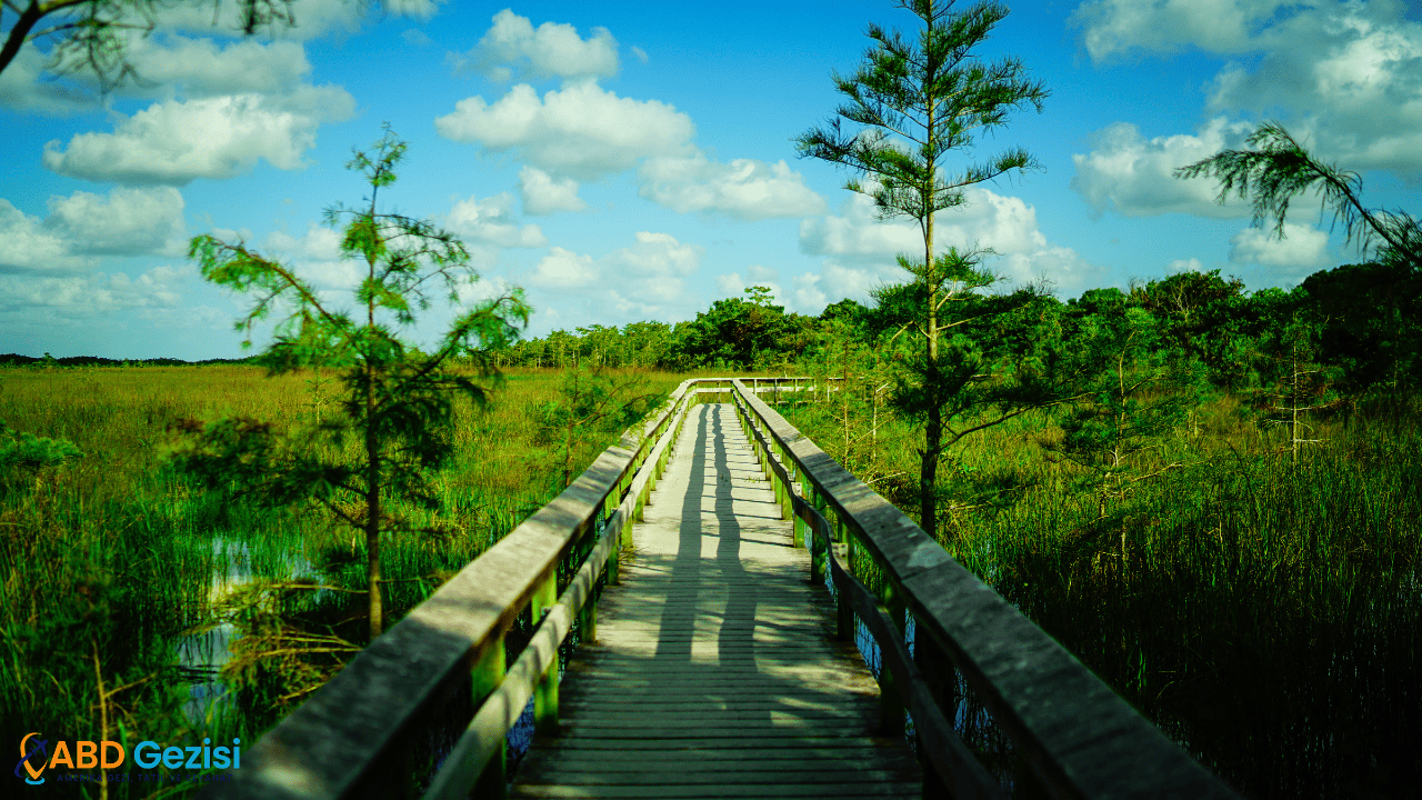 Everglades National Park, Florida